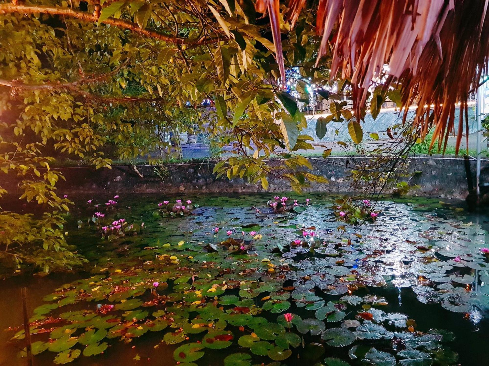 Quoc Khanh Bamboo Homestay Ninh Binh Exterior foto
