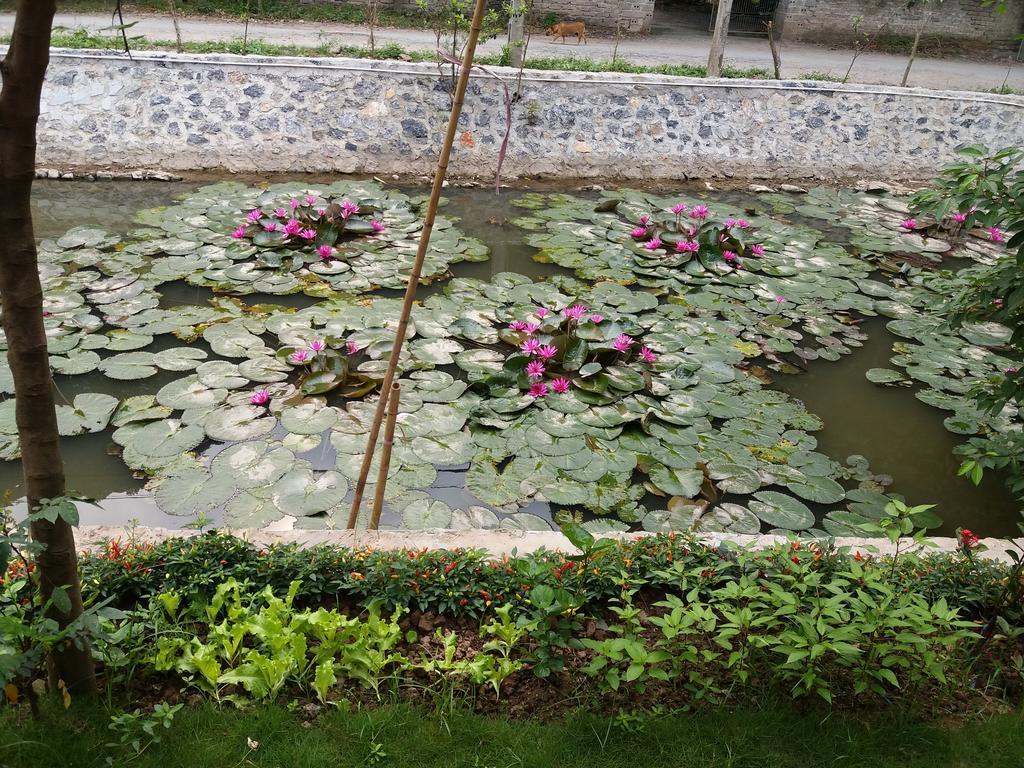 Quoc Khanh Bamboo Homestay Ninh Binh Exterior foto